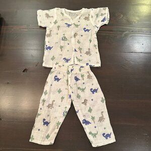 🦖✨ Tiny Tods Muslin Dinosaur Outfit Set | 2-Piece | 9–12 Months ✨🦕